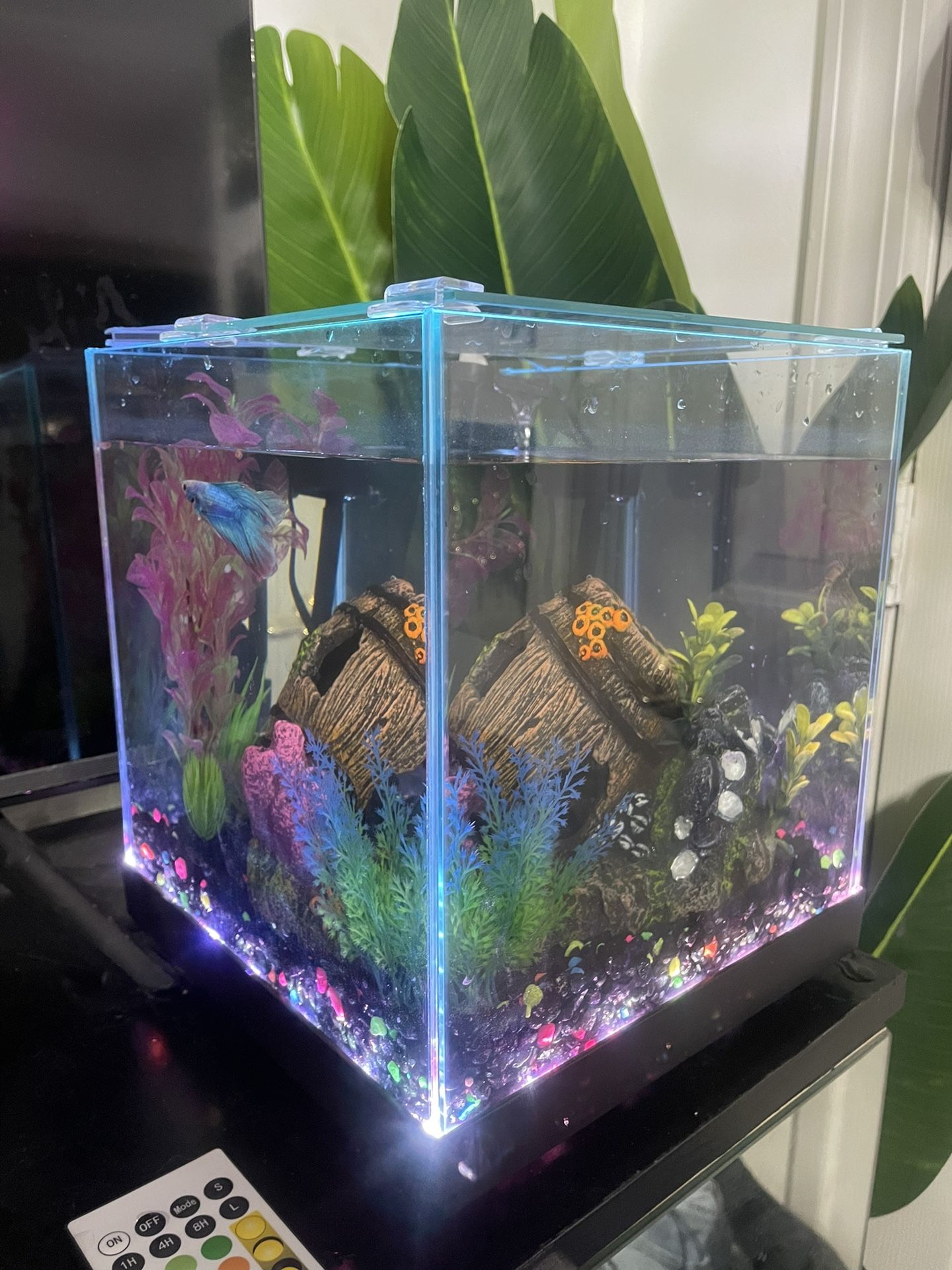 3 Gallon Glass Cube Fish Tank With Filter And Lights