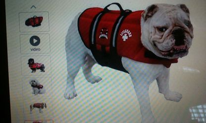 Doggie life jacket NEW medium
