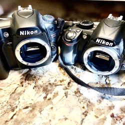 Nikon D80 & Nikon D3100