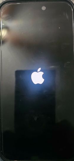 iPhone 15 plus