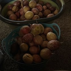 Passionfruit