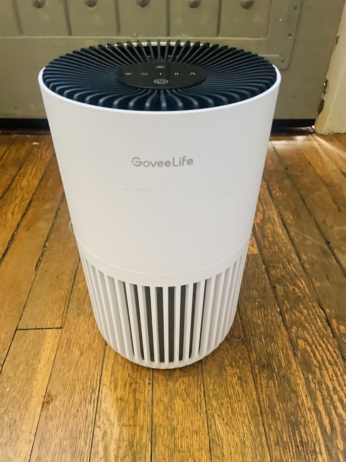 GoveeLife Air Purifier for Bedroom, HEPA Smart Filter Air Purifier with App Alexa Control for Pet Hair, Odors, Pollen, Smoke, Portable Air Cleaner wi