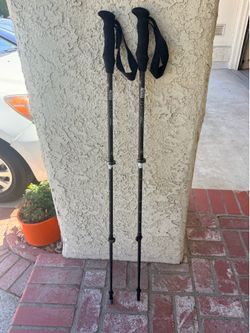REI Co-op Flash Carbon Trekking Poles