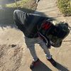 dee23kickz