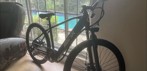 Electric mountain bike