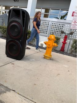 Large Dual Woofer Portable Party Speaker