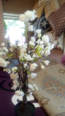 New 2,ft artificial silk dogwood high quality