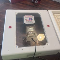 Egg Incubator 