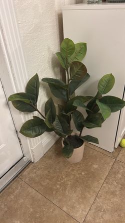 Artificial plants
