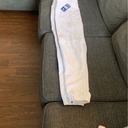 Mizuno Baseball Pants