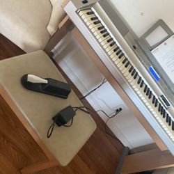 Yamaha Portable Grand Dgx500