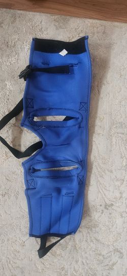 Dog Walk About Medium