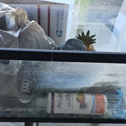 Fish Tank With Some Accessories 