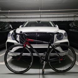 18.8 lb. All-Carbon Giant TCR C3 Racing Bike