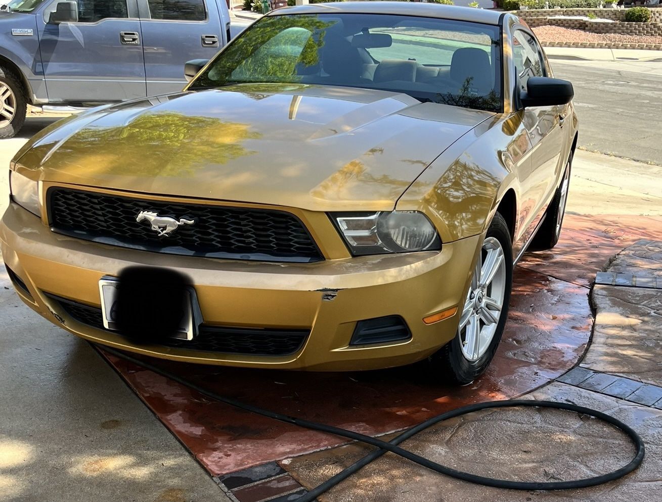2010 Ford Mustang