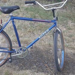 Tall Vintage Raleigh 6 Speed Cruiser