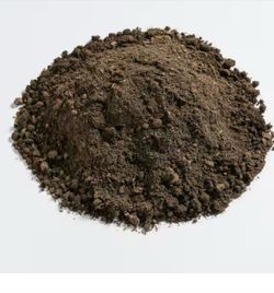Dirt/rocks