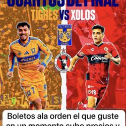 Xolos Vs Tigres 