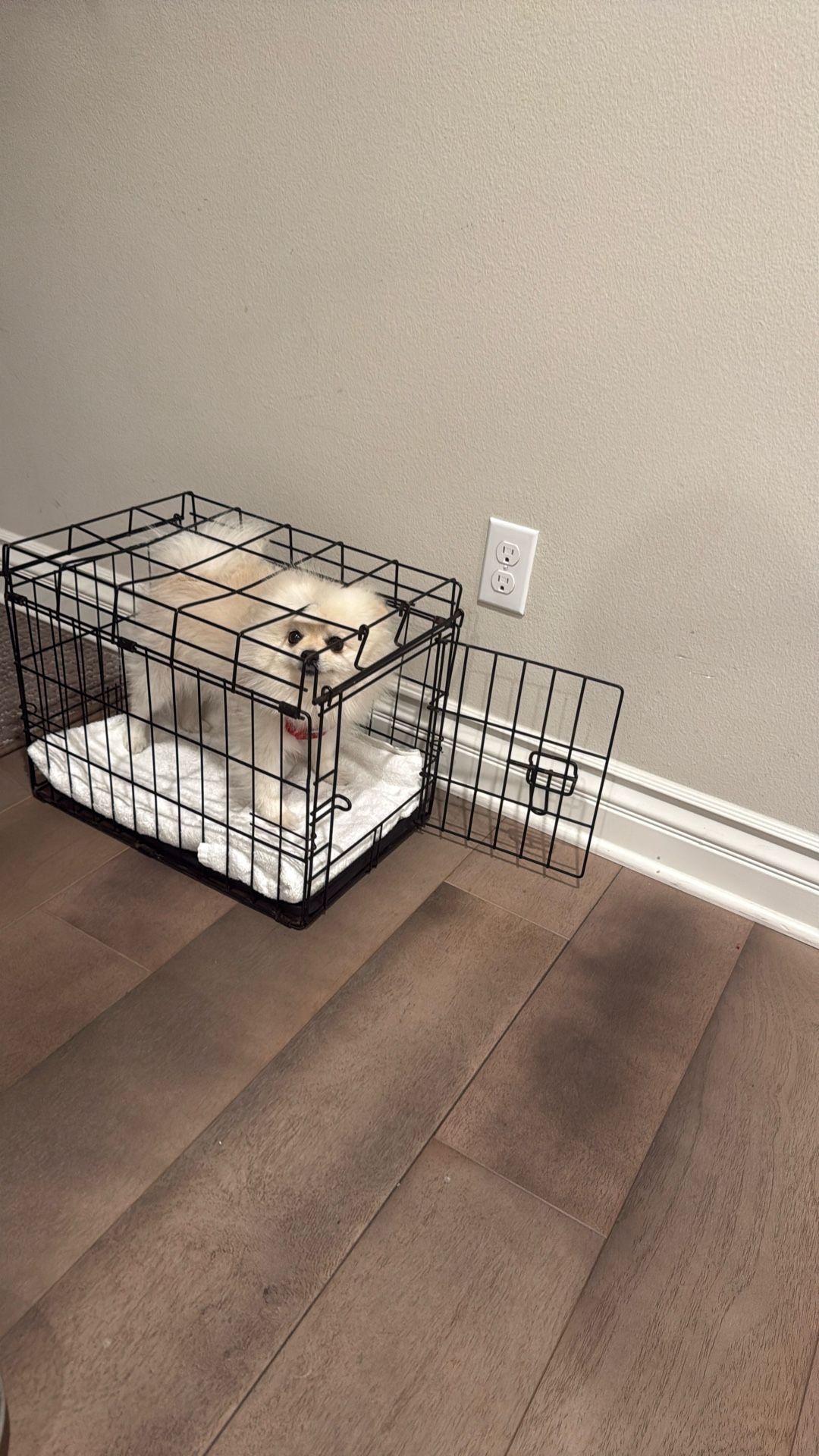 Small Dog Cage