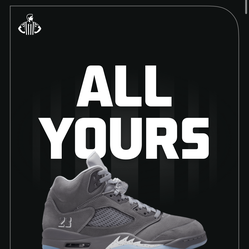 Jordan 5 Wolf grey