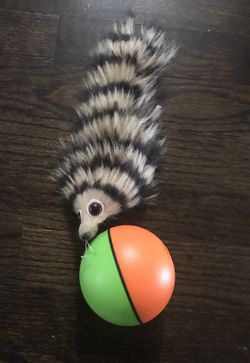 Cat toy