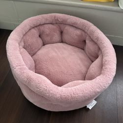 Pet Accessories (PLEASE READ DESCRIPTION)