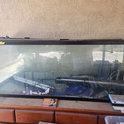 100 gallon fish Tank