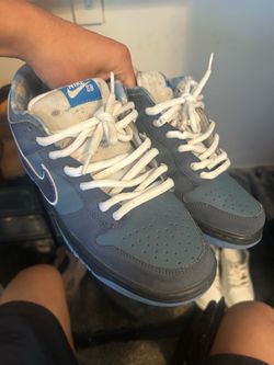 Blue Lobster sb dunks