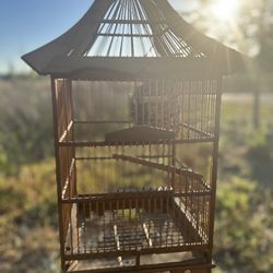 Bird Cage