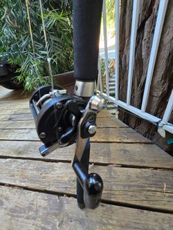 Fishing Reel and Rod/Combo