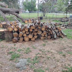 Oak tree logs