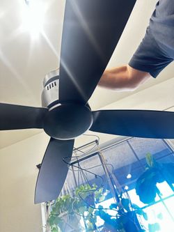Black ceiling fan
