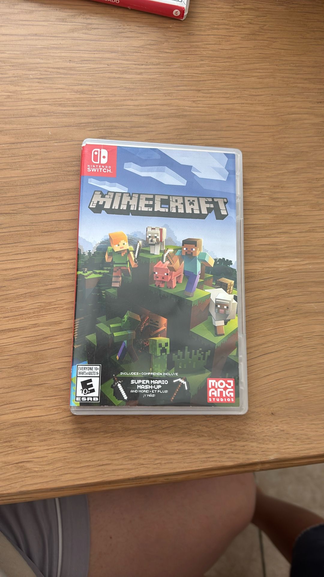 Minecraft Nintendo Game 