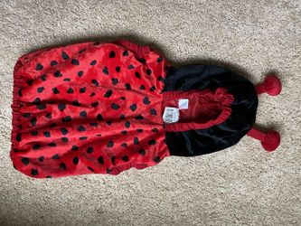 Ladybug Costume