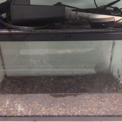 10 Gal Fish Tank