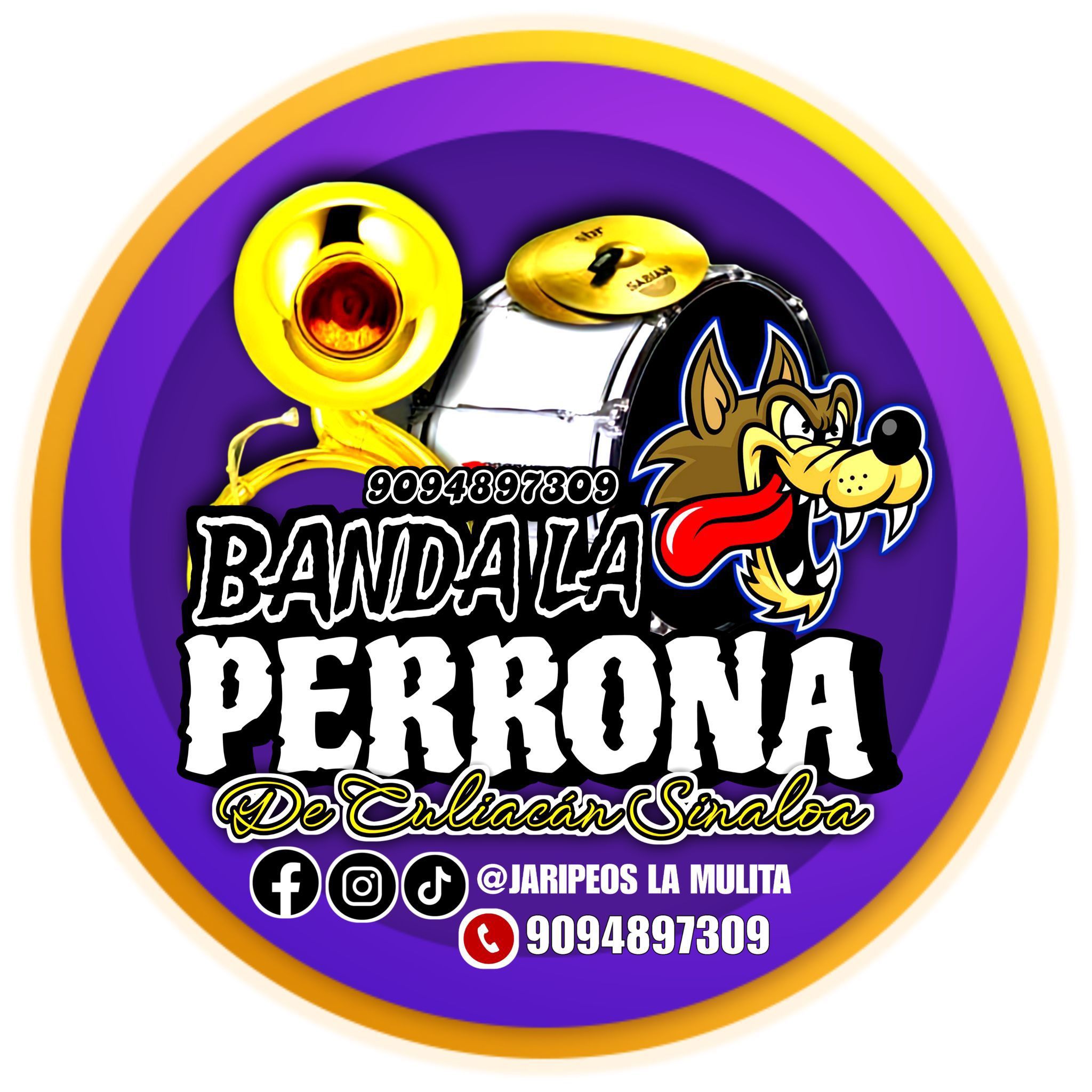 Banda Disponible PRECIOS Muy ECONOMICOS