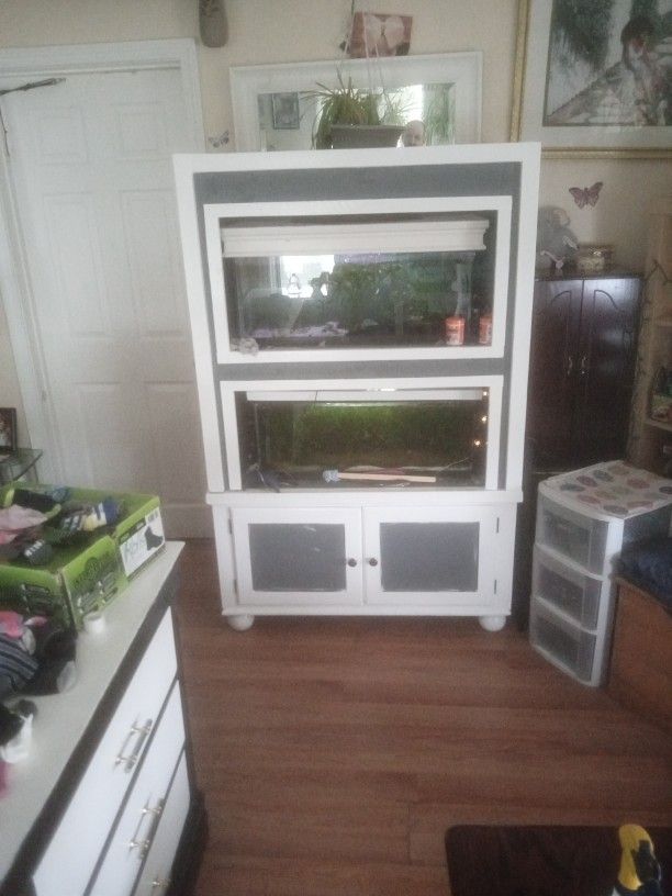 Fish Tank Stand And Fish Tanks And Fish Everything You Need