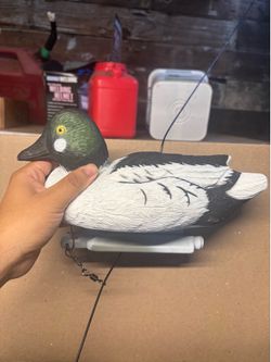 Goldeneye decoy
