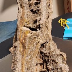 Museum Quality Alabama Quartz Petrified Wood