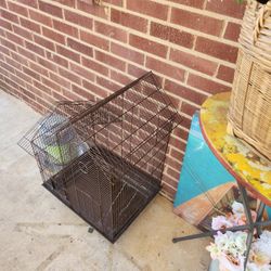 Bird Cage