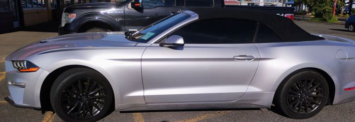 2019 Ford Mustang
