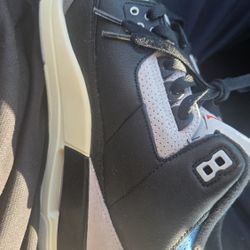 Jordan 3s