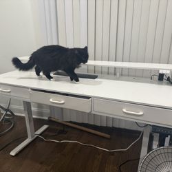 Heights Adjustable Desk