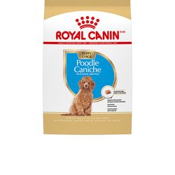 POODLE dog food