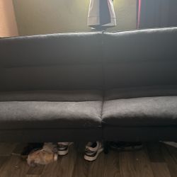 Futon Bed