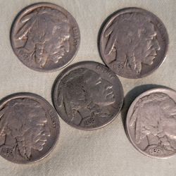 Buffalo Nickel 5 Cent Coins All 5