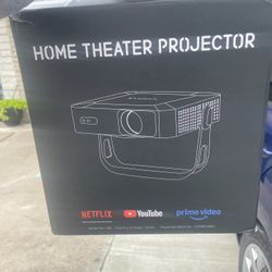 Projector