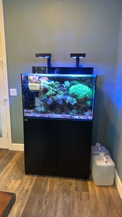 Complete Red Sea Saltwater Aquarium including chiller