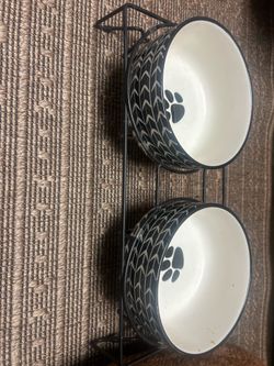 Ceramic dog water/food bowl & pumpkin costume