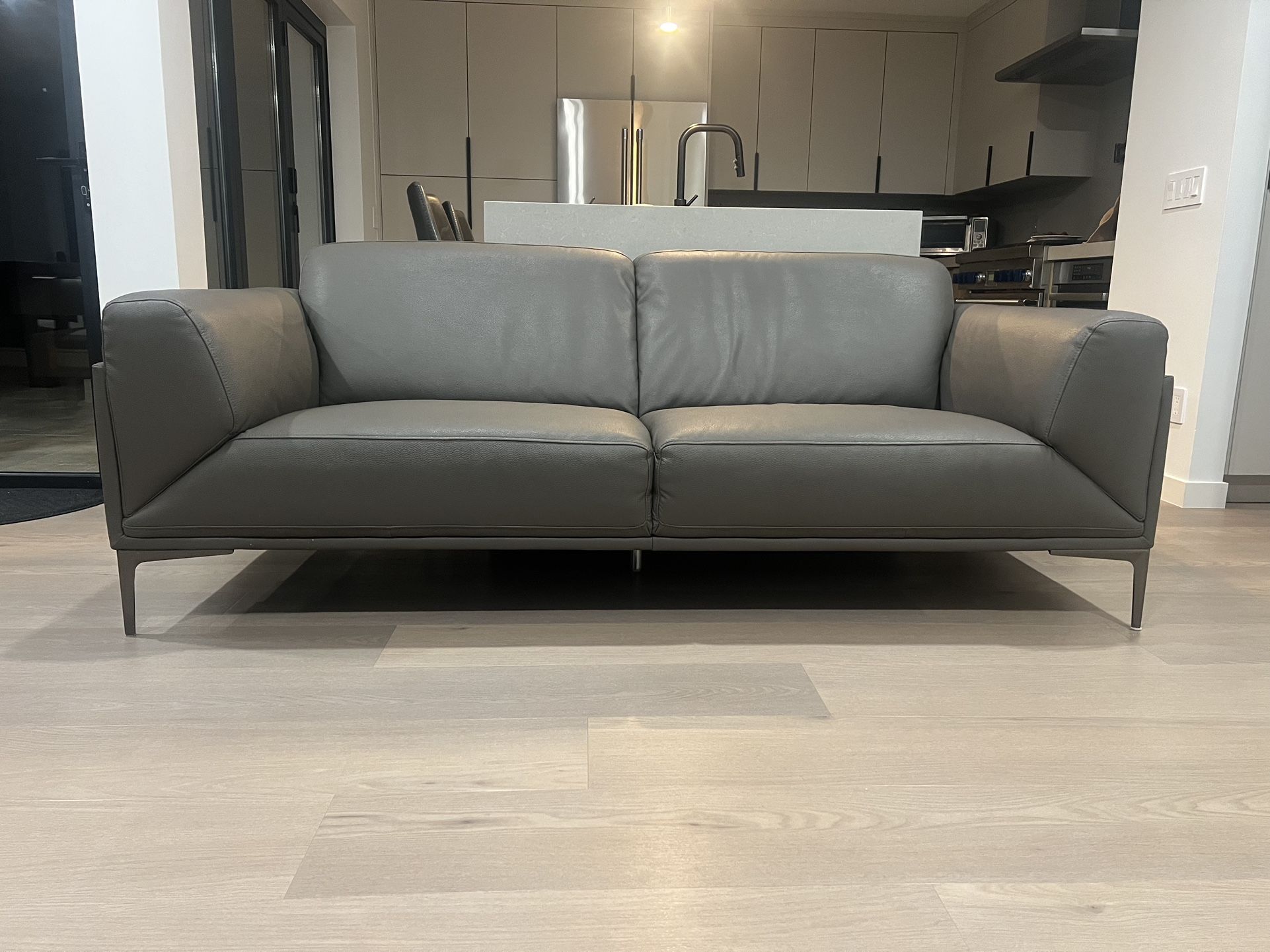 Gray Leather Sofa Couch